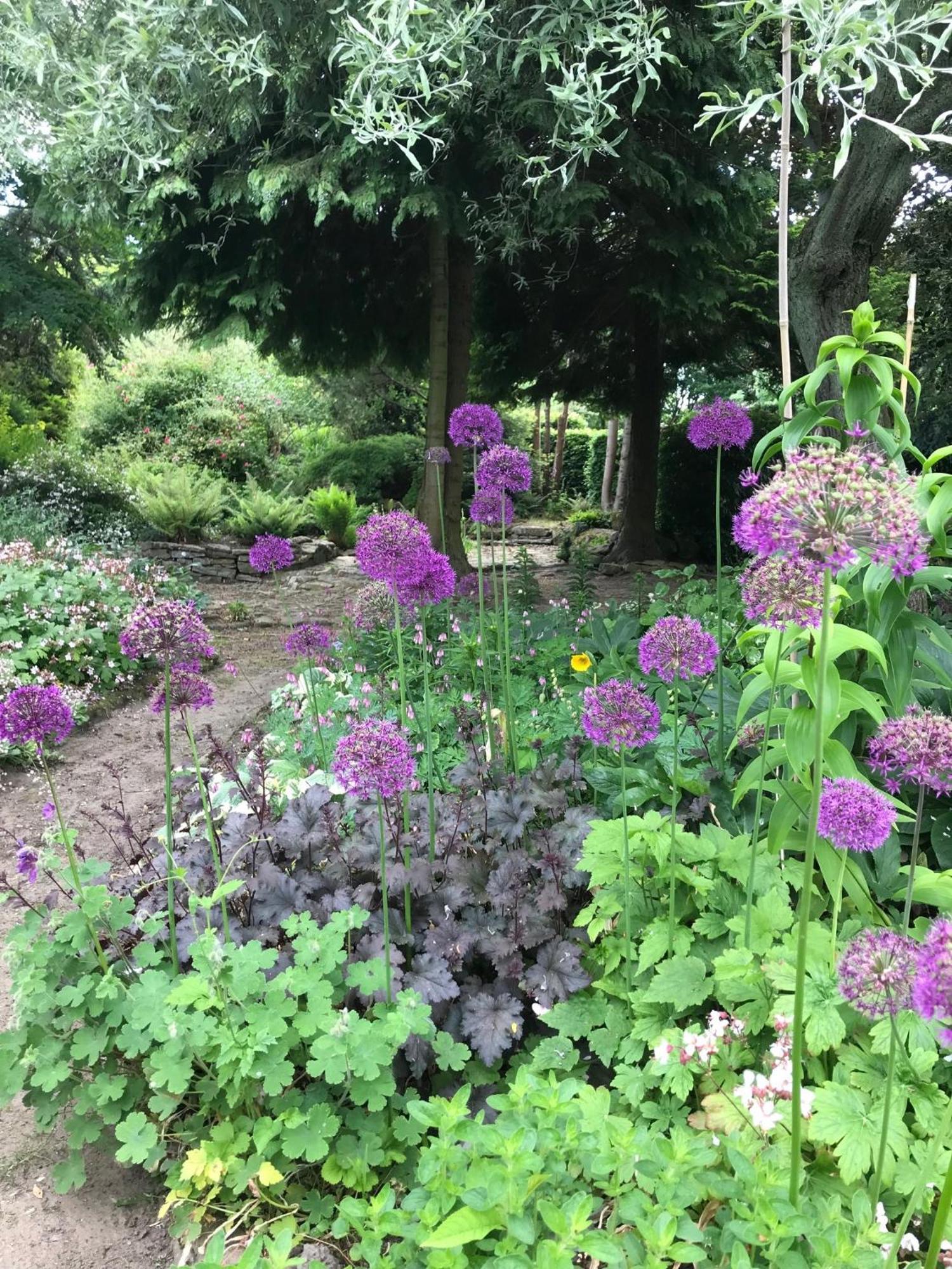 Phlomis Villa York Luaran gambar